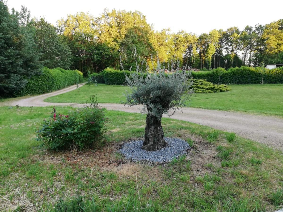 Le Gite Du Parc La Coquille Экстерьер фото